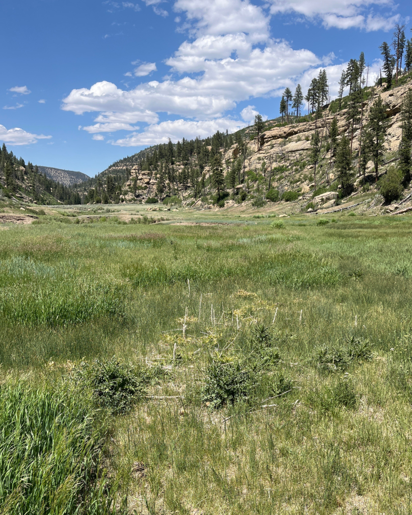 Utah Preserved Public Access to 50,000 Acres in the Book Cliffs