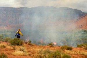 Utah’s 2026 wildfire season tested years of state investment in wildfire preparedness, prevention, mitigation and response.