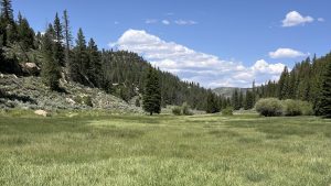 Utah Book Cliffs Roadless Area